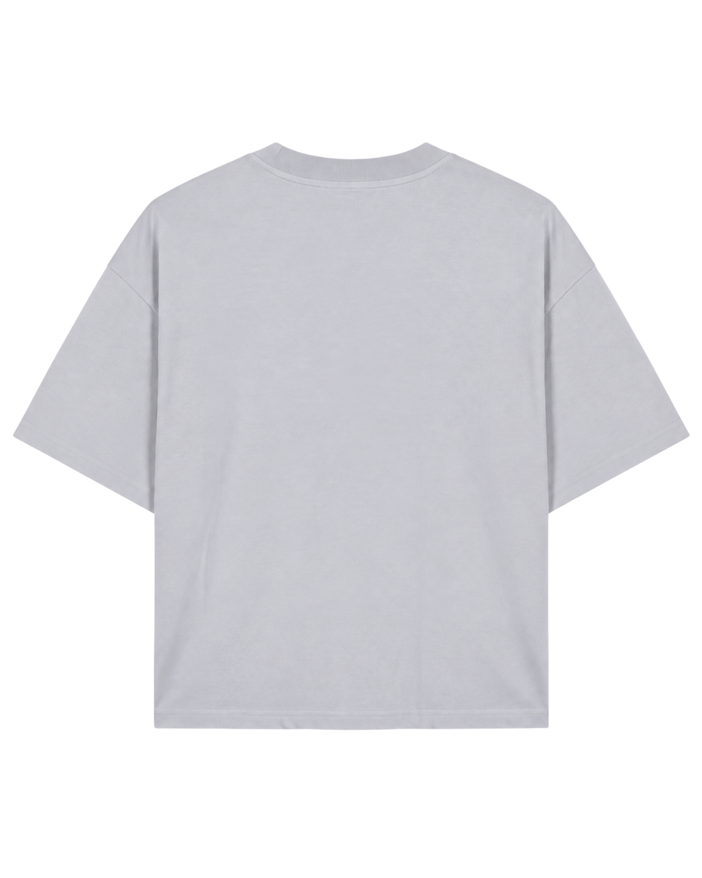 A light gray short-sleeve crewneck t-shirt shown from the back, laid flat against a solid white background.