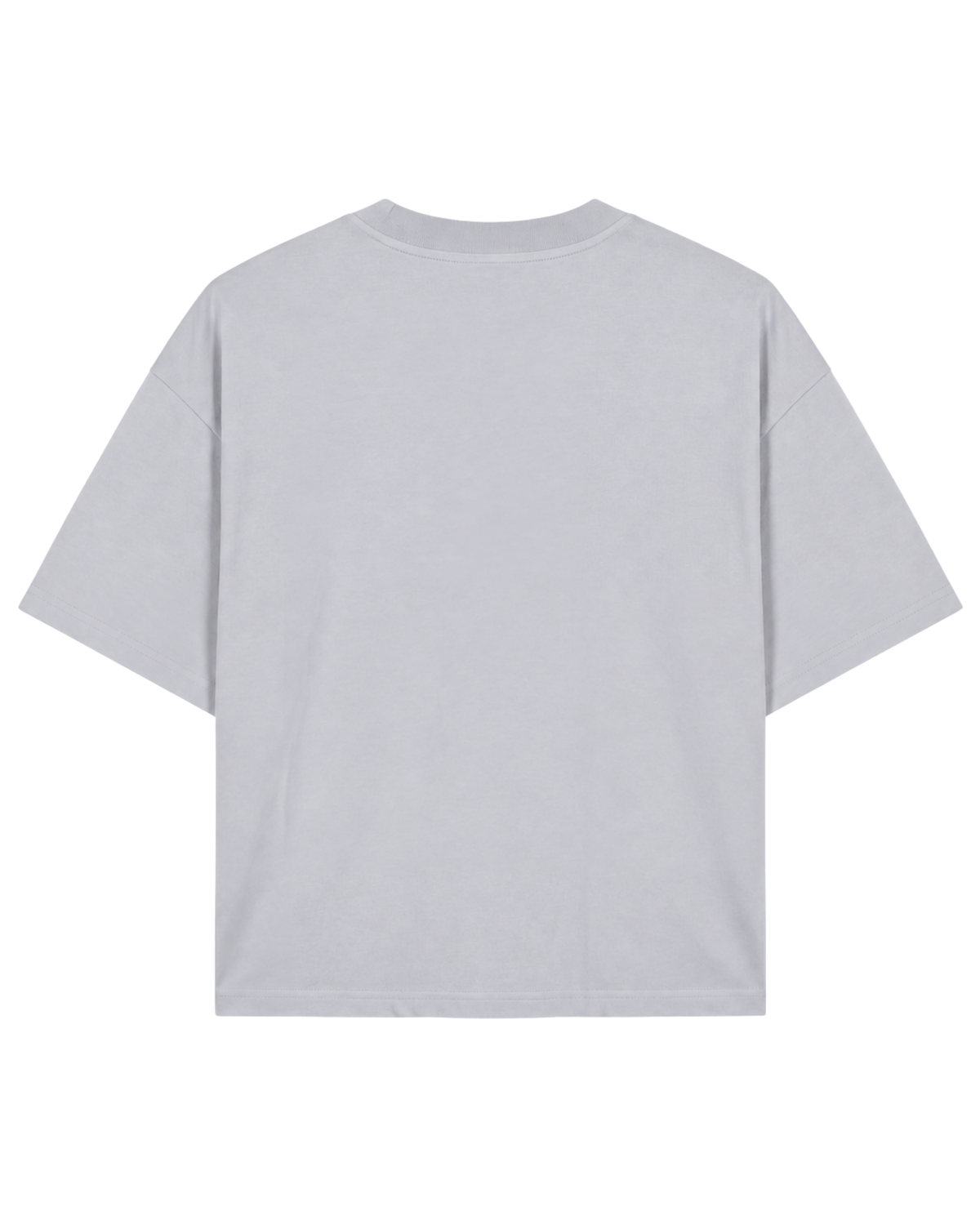 A light gray short-sleeve crewneck t-shirt shown from the back, laid flat against a solid white background.